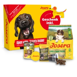 Probierpaket Lamm ♥ Hundefutter mit Lamm | Josera