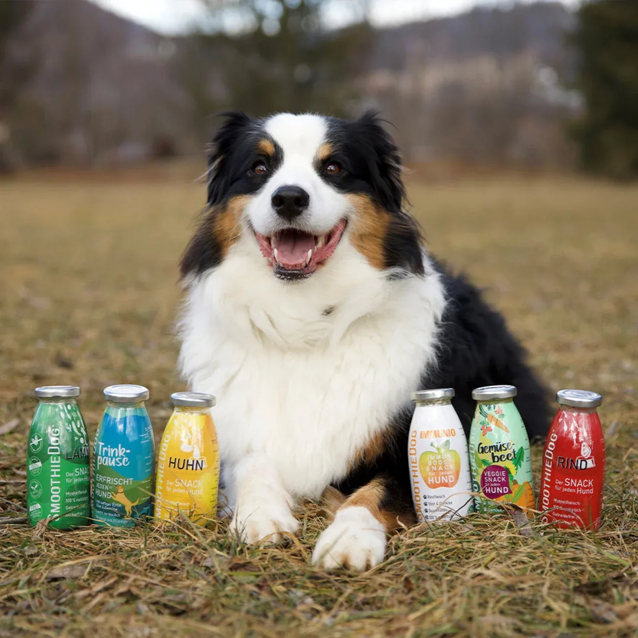 Probierpaket "Mix" - für jeden Hund! - Image 2