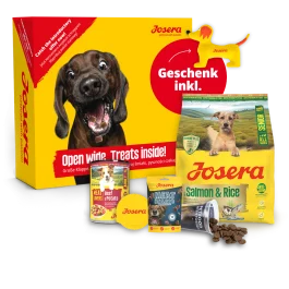 Probierpaket Senior ♥ Für alte Hunde | Josera
