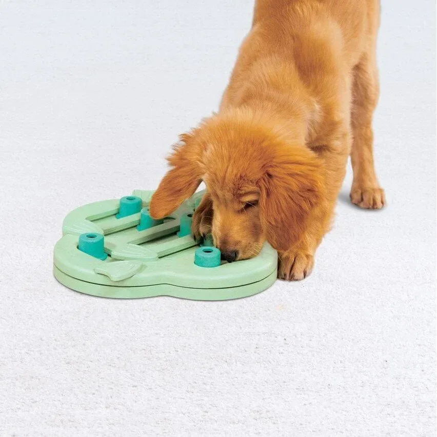 Puppy Hide N' Slide Hundestrategiespiel - Image 2