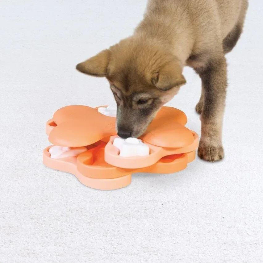 Puppy Tornado Hunde Intelligenzspiel - Image 2