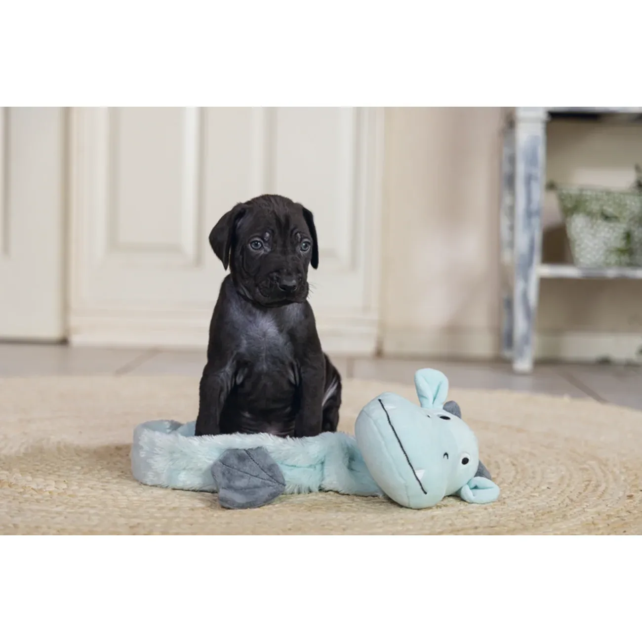 Puppy Welpen Spielzeug Flatino Drache Yi - Image 2