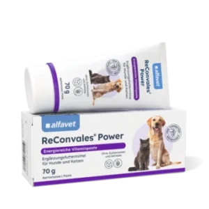 ReConvales Power 70g