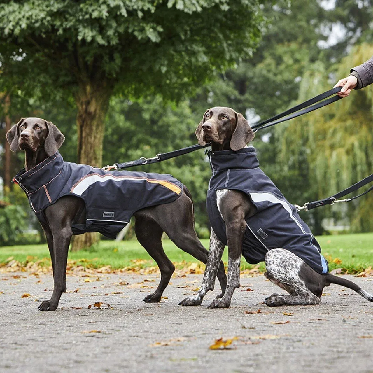 Regenjacke Xtra Strong - Image 2