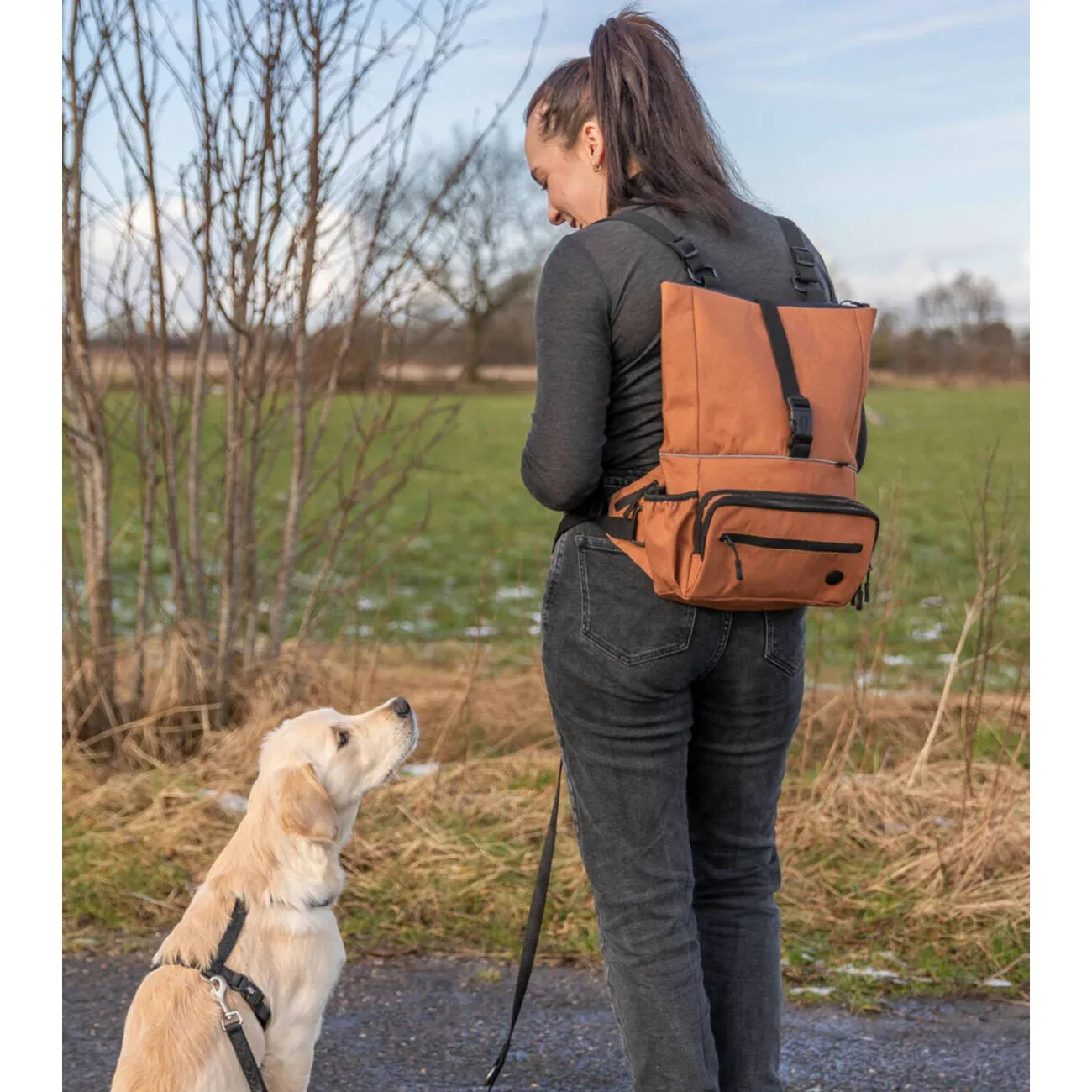 Rolltop als Hüfttasche und Hunde-Rucksack tragbar - Image 2