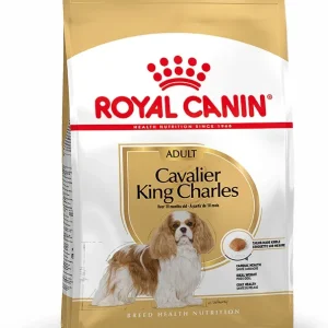 Royal Canin Cavalier King Charles Adult