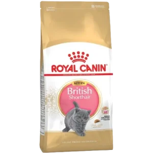 Royal Canin Feline British Shorthair Kitten
