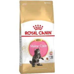 Royal Canin Feline Maine Coon Kitten