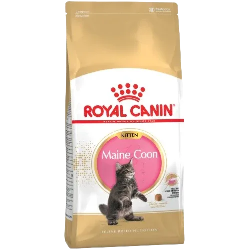 Royal Canin Feline Maine Coon Kitten