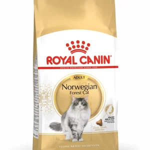 Royal Canin Feline Norwegian Forest Cat Adult
