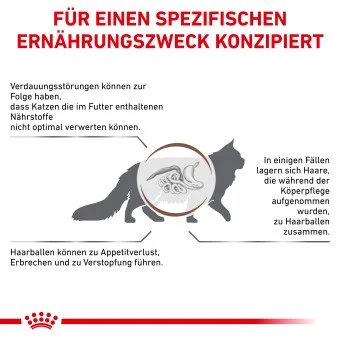 Royal Canin Gastrointestinal Hairball Trockenfutter Katze 2 kg - Image 2