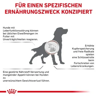 Royal Canin Hepatic Trockenfutter Hund 7 kg - Image 2
