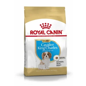 Royal Canin Hund Breed Health Nutrition Cavalier King Charles Junior