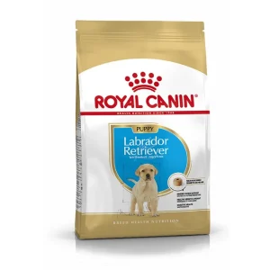 Royal Canin Hund Breed Health Nutrition Labrador Retriever Junior