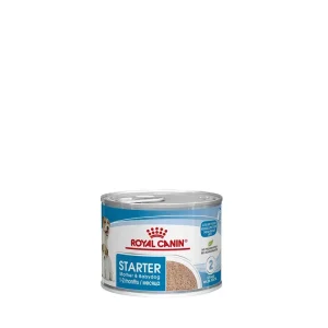 Royal Canin Hund Canine Health Nutrition Starter Mousse Mother and Babydog Dose