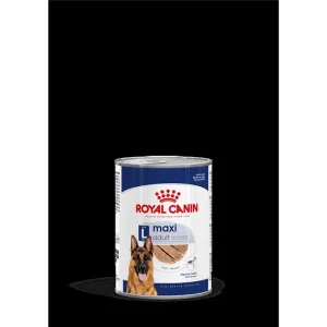 Royal Canin Hund MAXI Adult Feuchtnahrung als Mousse (>15. Lebensmonat)