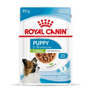 Royal Canin Hund X-SMALL Puppy Feuchtnahrung für sehr kleine Hundewelpen (<10. Lebensmonat)