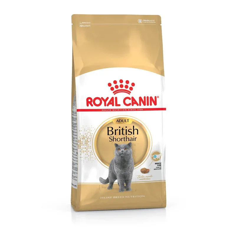 Royal Canin Katze Feline Breed Health Nutrition British Shorthair