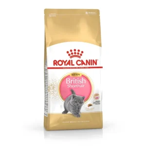 Royal Canin Katze Feline Breed Nutrition British Shorthair Kitten