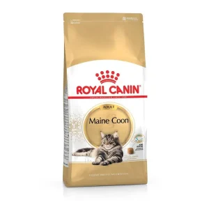 Royal Canin Katze Feline Breed Nutrition Maine Coon Adult