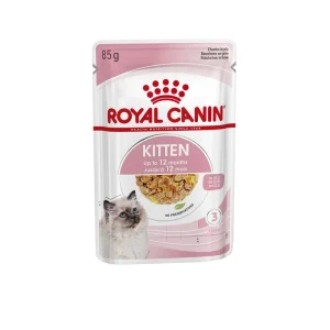 Royal Canin Katze Feline Health Nutrition Kitten in Gelee Frischebeutel