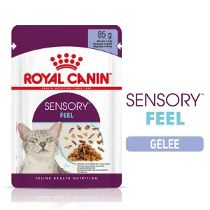 Royal Canin Katze Feline Health Nutrition Sensory Feel Jelly FB