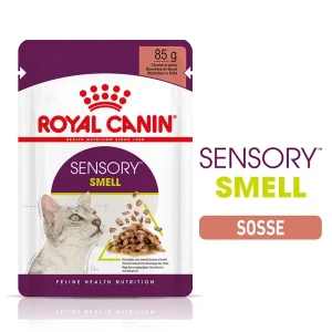 Royal Canin Katze Feline Health Nutrition Sensory Smell Gravy FB