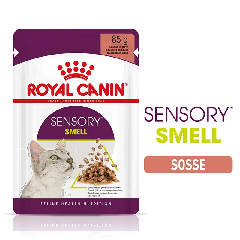 Royal Canin Katze Feline Health Nutrition Sensory Smell Gravy FB