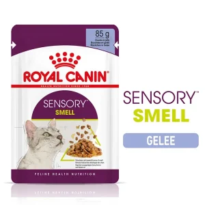 Royal Canin Katze Feline Health Nutrition Sensory Smell Jelly FB