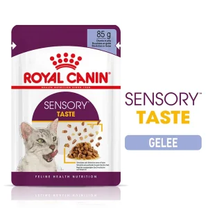 Royal Canin Katze Feline Health Nutrition Sensory Taste Jelly FB