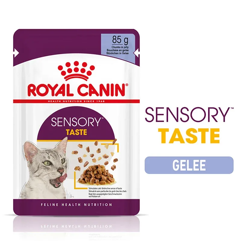Royal Canin Katze Feline Health Nutrition Sensory Taste Jelly FB