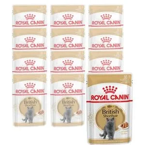 ROYAL CANIN® Nassfutter für Katzen British | Dehner