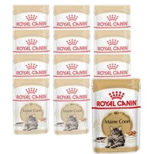 ROYAL CANIN® Nassfutter für Katzen Maine Coon Adult in Soße, 12 x 85 g