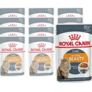 Royal Canin Nassfutter Intense Beauty, 12 x 85g