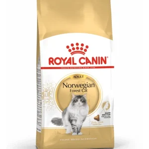 ROYAL CANIN Norwegian Forest Cat Adult 2kg | DAS FUTTERHAUS