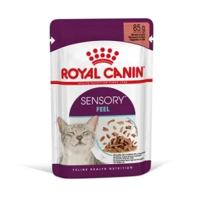 Royal Canin Sensory Feel in Soße 12 x 85 g
