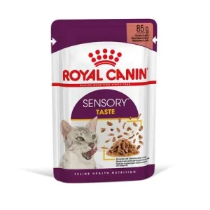 Royal Canin Sensory Taste in Soße 12 x 85 g