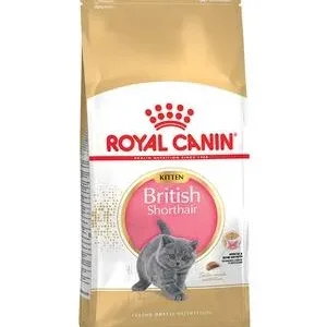 ROYAL CANIN® Trockenfutter für Katzen British Shorthair Kitten