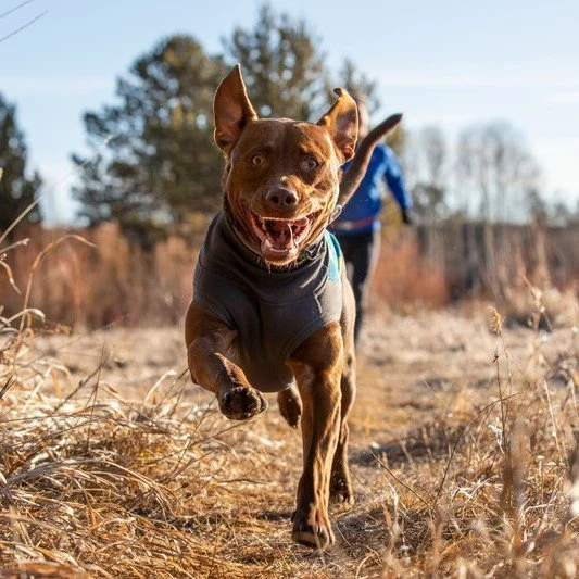 Ruffwear Climate Changer Hundepullover aus Fleece - Image 2