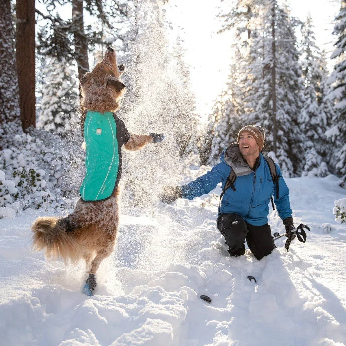 Ruffwear Cloud Chase Soft Shell Jacke für Hunde - Image 2