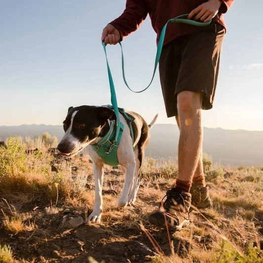 Ruffwear Front Range Hundeleine 2.0 - Image 2