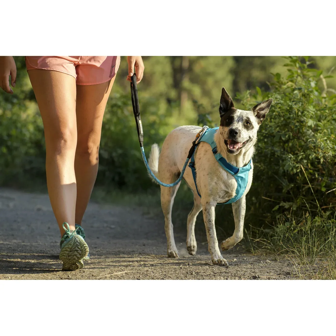 Ruffwear Hi Light Harness Hundegeschirr - Image 2