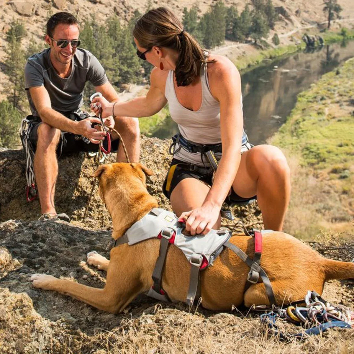 Ruffwear Hundegeschirr Doubleback Harness - Image 2