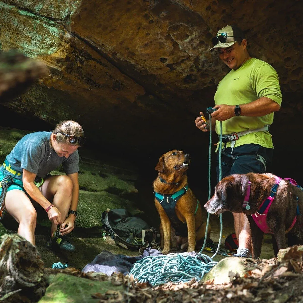 Ruffwear Hundegeschirr Flagline - Image 2