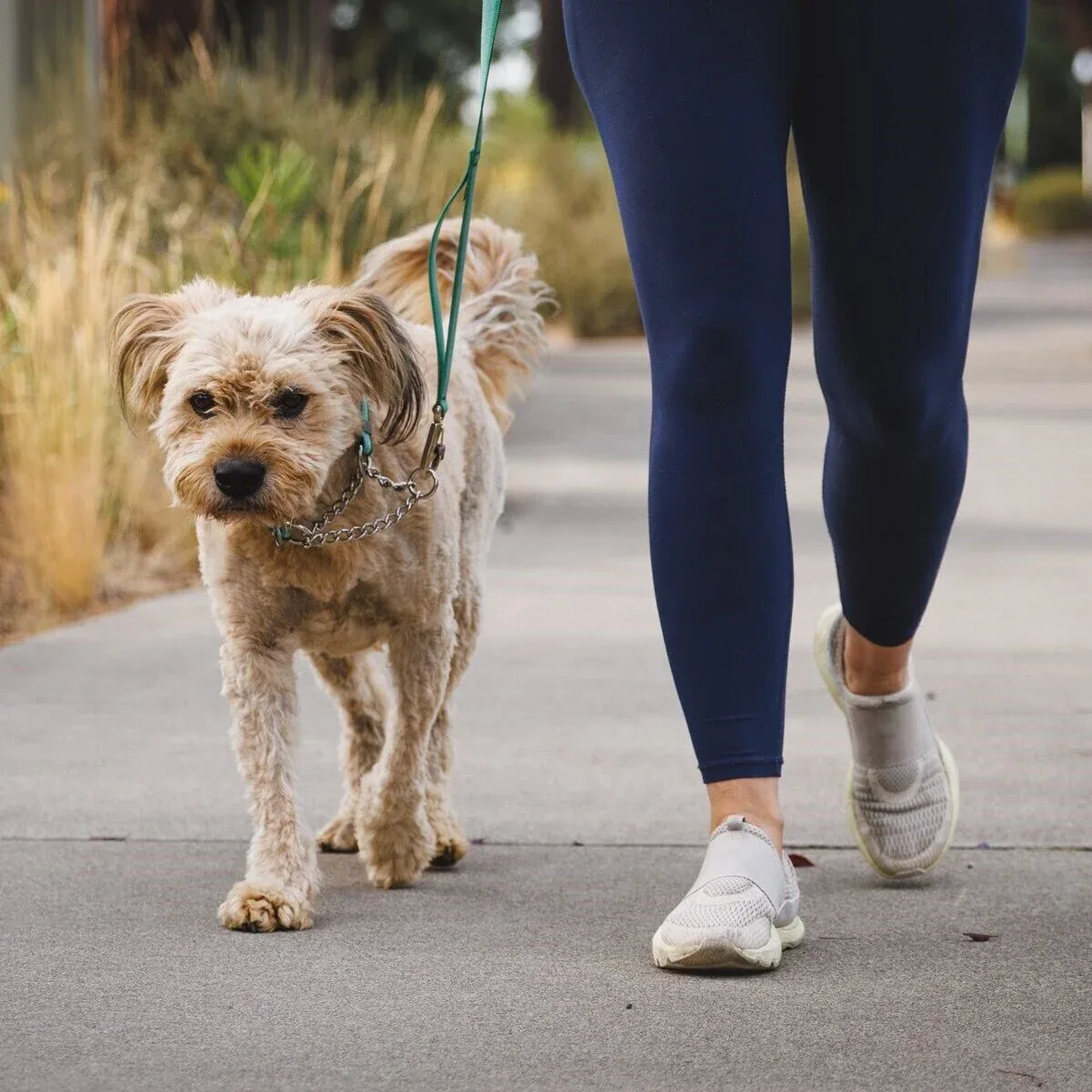 Ruffwear Hundehalsband Chain Reaction™ - Image 2