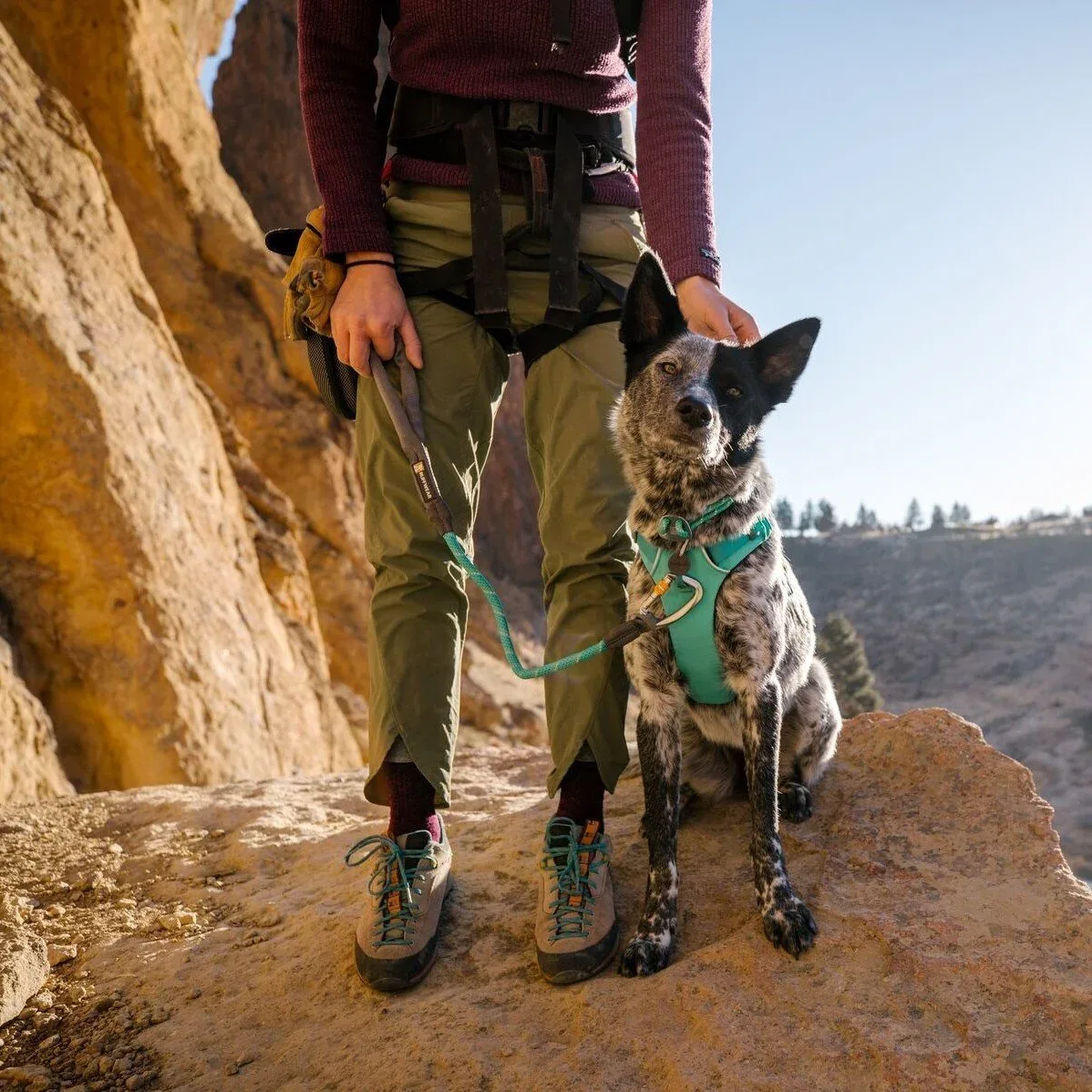 Ruffwear Knot-a-Leash Hundeleine - Image 2