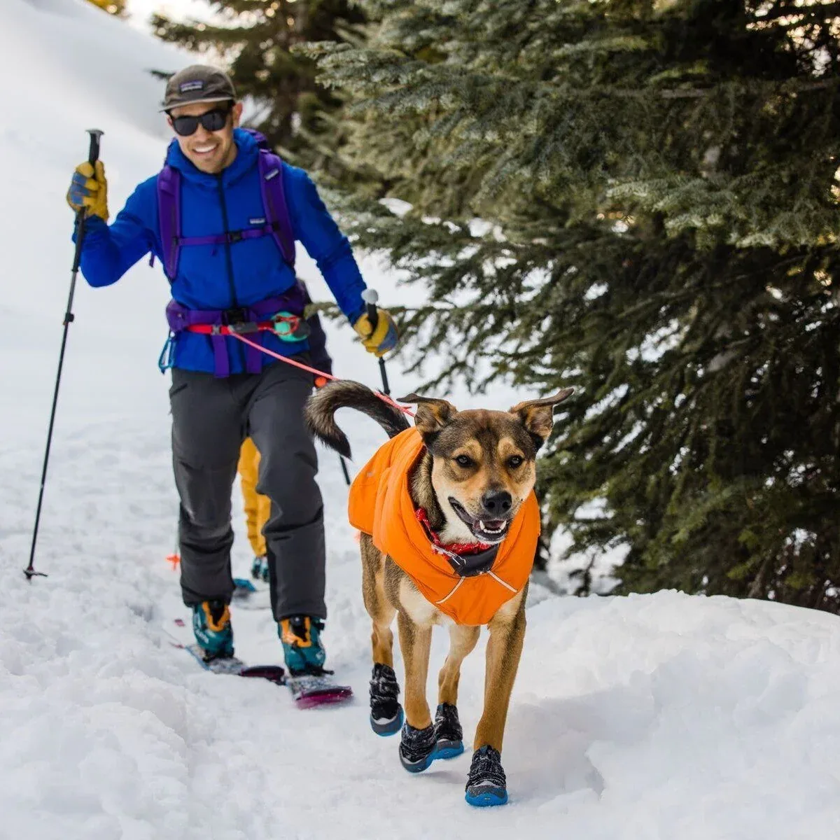 Ruffwear Quinzee Hundemantel gefüttert - Image 2