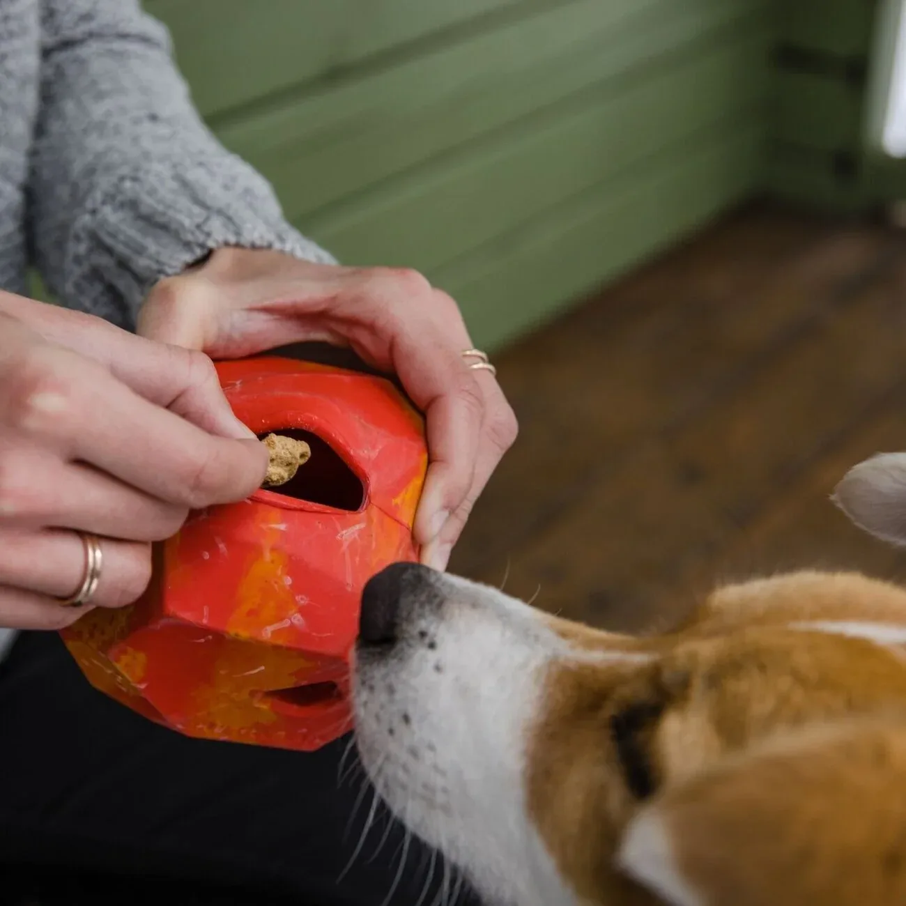 Ruffwear Spielzeug für Hunde Gnawt-a-Rock - Image 2
