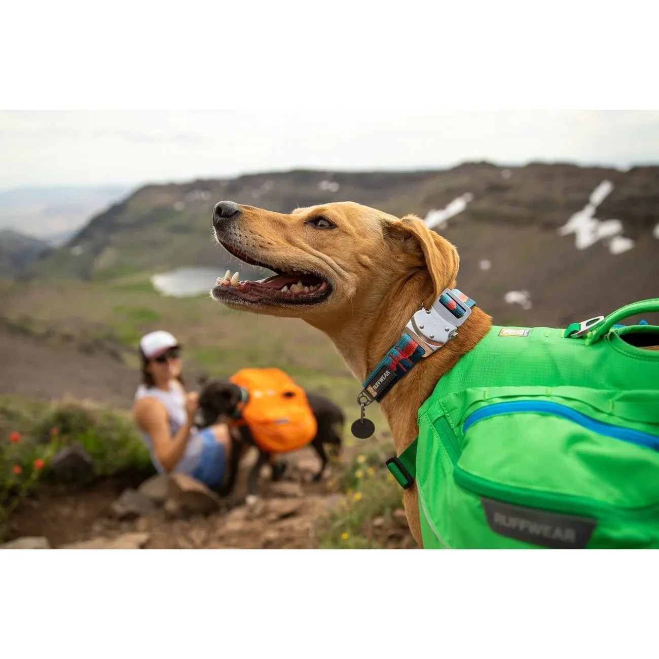 Ruffwear Top Rope™ Hundehalsband - Image 2