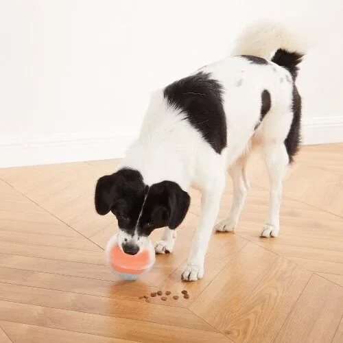 Rumble Puzzle Hundespielzeug - Image 2